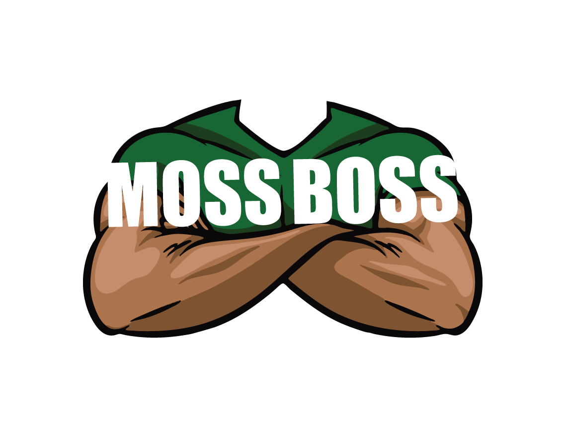 moss boss roof cleaning and roofing services