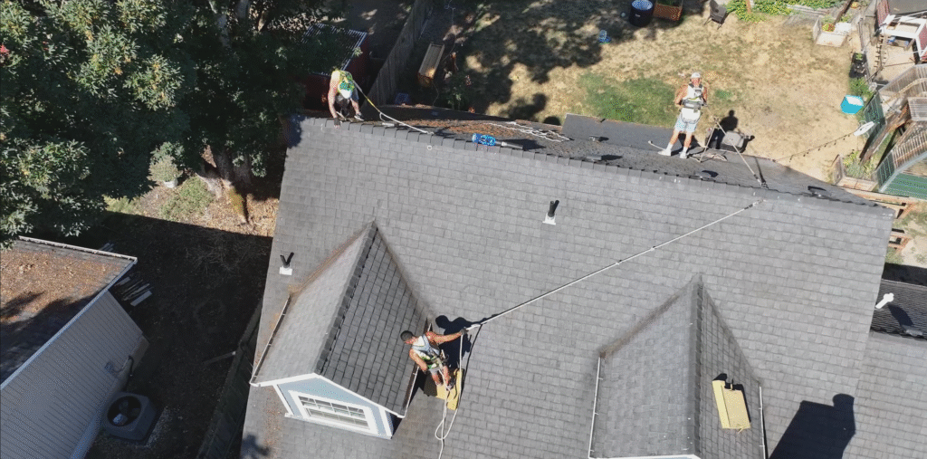 summer time roof cleaning
