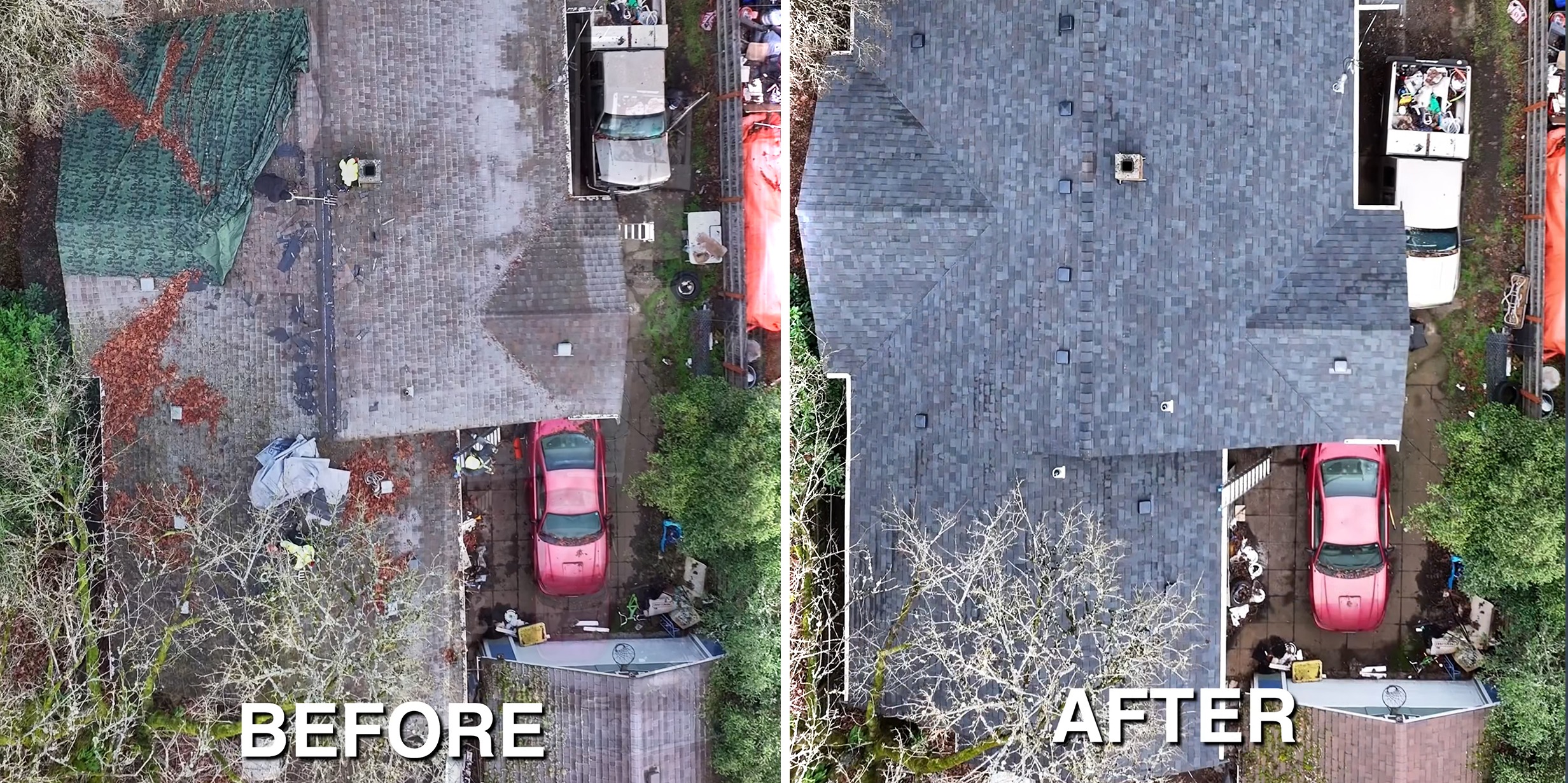 From Tarp to Triumph