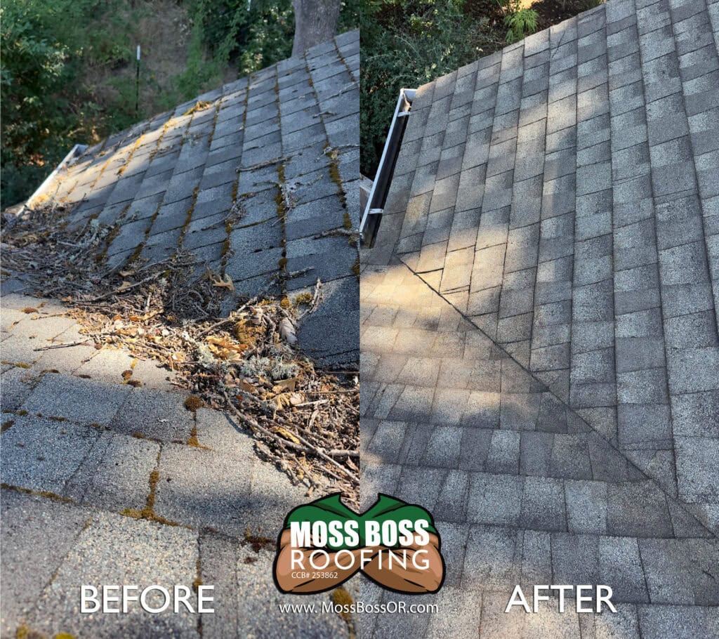 Roof Cleaning in Salem, Oregon | Moss Removal Service Roof Cleaning Before and After Salem Oregon | Moss Removal Results Moss Boss Roofing Salem Oregon