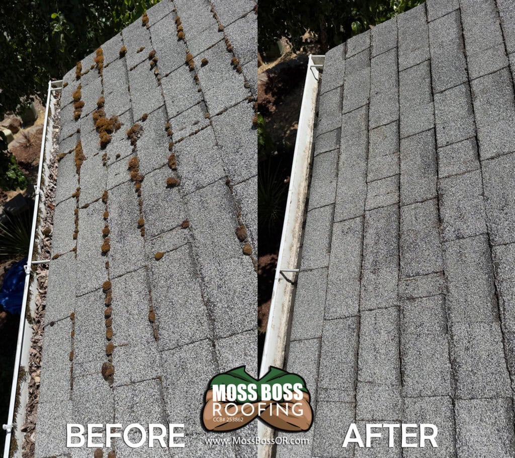 Roof Cleaning in Salem, Oregon | Moss Removal Service Roof Cleaning Before and After Salem Oregon | Moss Removal Results Moss Boss Roofing Salem Oregon