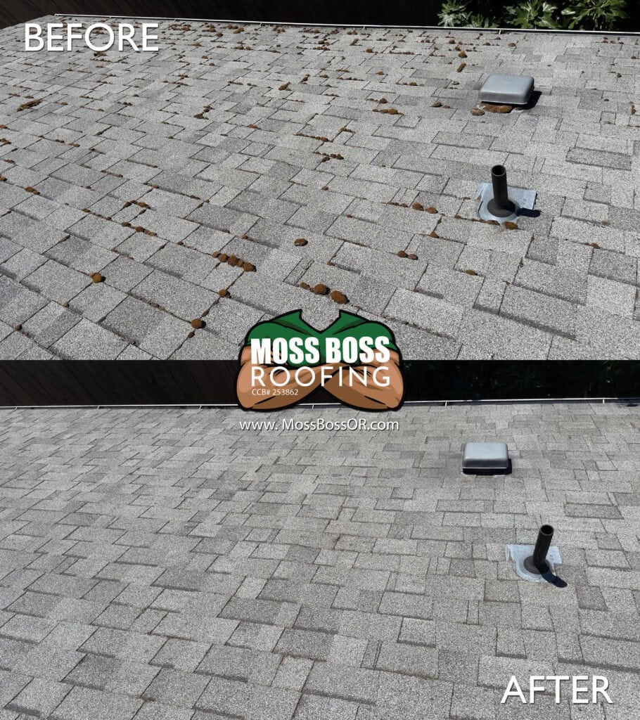 Roof Cleaning in Salem, Oregon | Moss Removal Service Roof Cleaning Before and After Salem Oregon | Moss Removal Results Moss Boss Roofing Salem Oregon