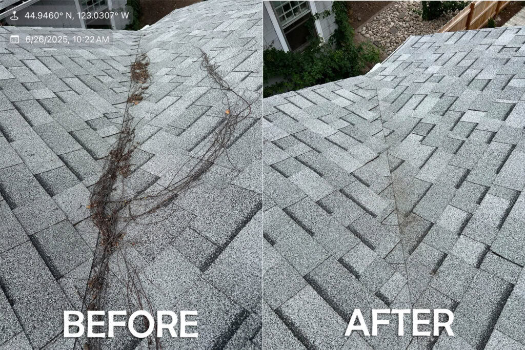 Roof Cleaning in Salem, Oregon | Moss Removal Service Roof Cleaning Before and After Salem Oregon | Moss Removal Results Moss Boss Roofing Salem Oregon