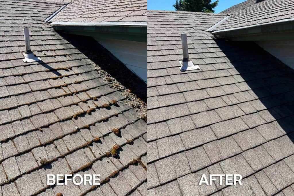 Roof Cleaning in Salem, Oregon | Moss Removal Service Roof Cleaning Before and After Salem Oregon | Moss Removal Results Moss Boss Roofing Salem Oregon