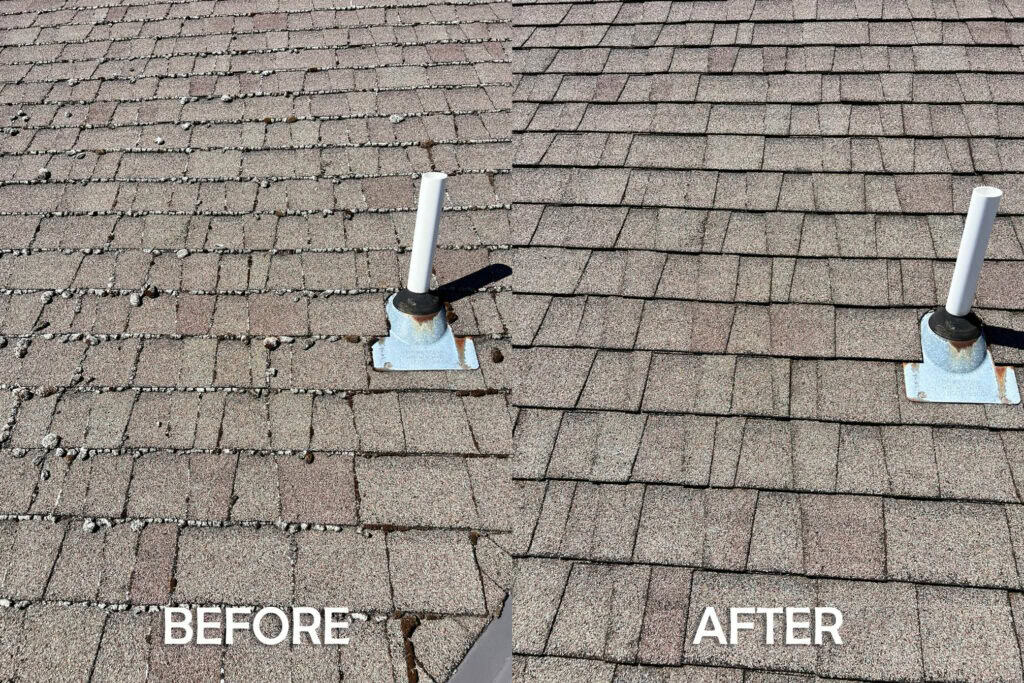 Roof Cleaning in Salem, Oregon | Moss Removal Service Roof Cleaning Before and After Salem Oregon | Moss Removal Results Moss Boss Roofing Salem Oregon