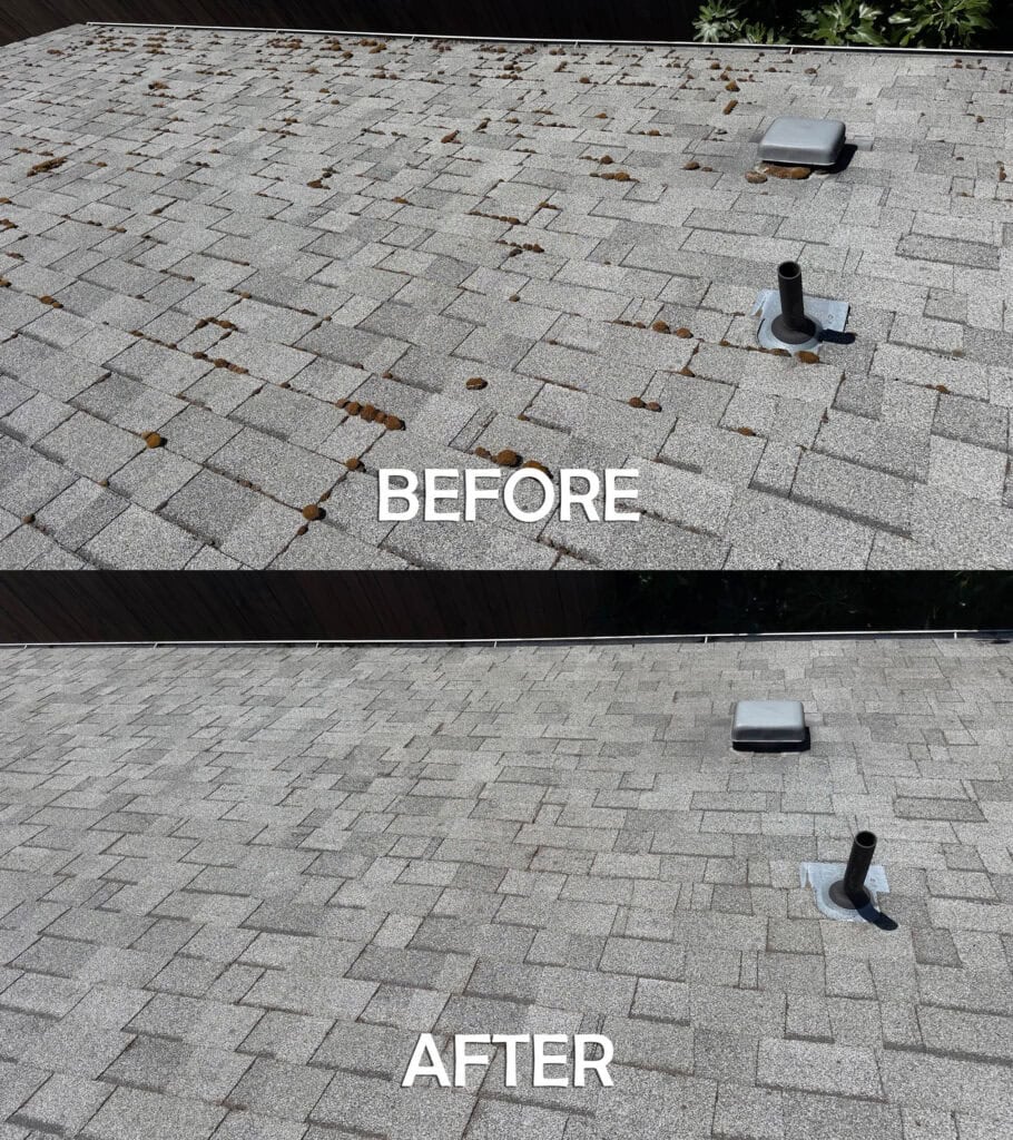 Roof Cleaning in Salem, Oregon | Moss Removal Service Roof Cleaning Before and After Salem Oregon | Moss Removal Results Moss Boss Roofing Salem Oregon