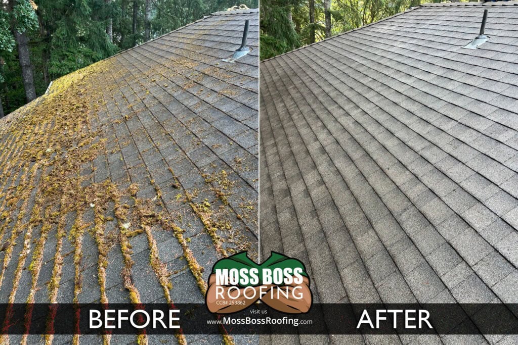 Roof cleaning in Salem Oregon removing moss from asphalt shingles by Moss Boss Roofing