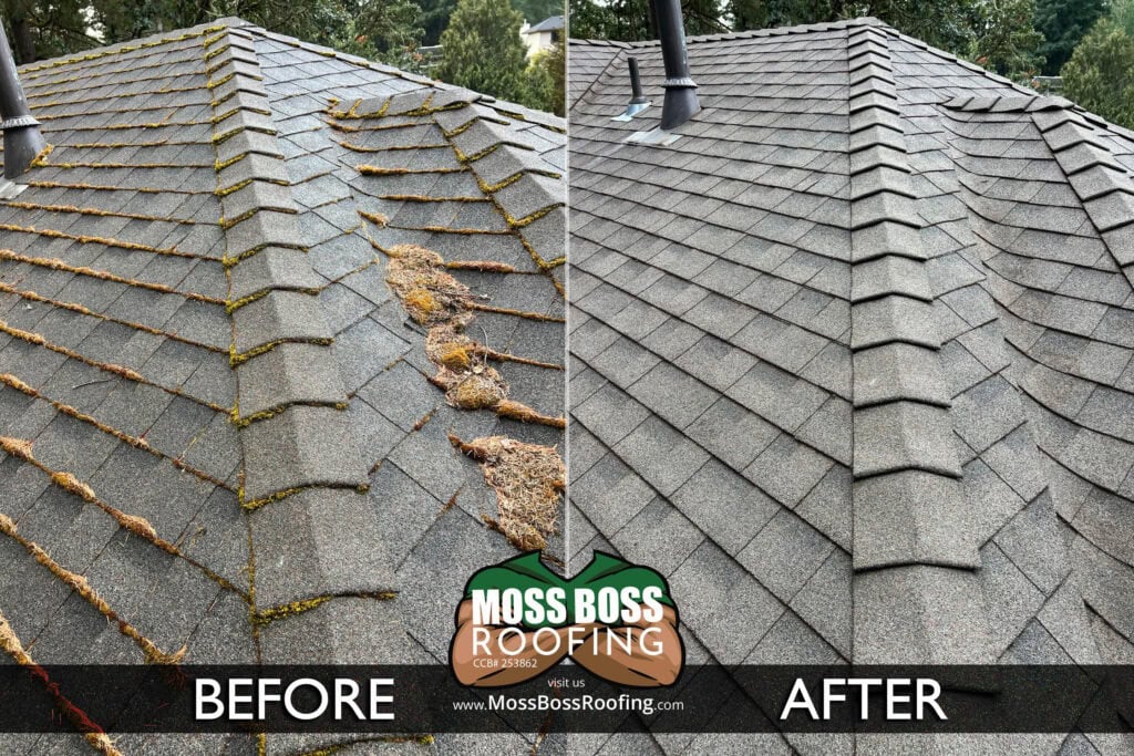 Roof Cleaning in Salem, Oregon | Moss Removal Service Roof Cleaning Before and After Salem Oregon | Moss Removal Results Moss Boss Roofing Salem Oregon