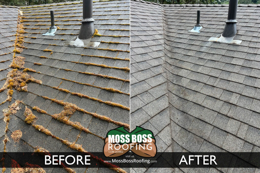 Roof Cleaning Before and After Salem Oregon | Moss Removal Results Moss Boss Roofing Salem Oregon Roof Cleaning Before and After Salem Oregon showing moss removal results