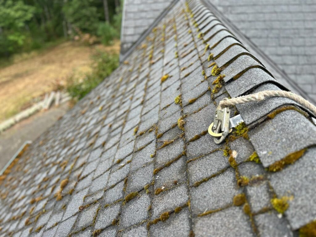 Roof Cleaning Cost in Salem, Oregon | Moss Boss Roofing Moss Boss Roofing Salem Oregon Roof Cleaning Cost in Salem, Oregon | Moss Boss Roofing Moss Boss Roofing Salem Oregon
