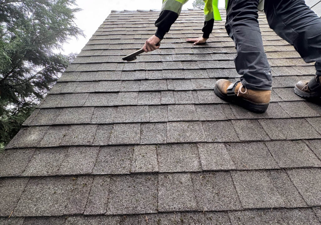 Roof Cleaning Cost in Salem, Oregon | Moss Boss Roofing Moss Boss Roofing Salem Oregon Roof Cleaning Walkability Factor in Cost in Salem Oregon