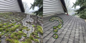 Roof Cleaning Costs in Salem Oregon