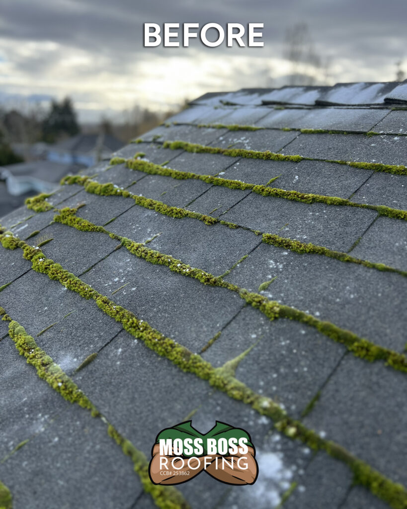 Before roof cleaning in Salem, Oregon showing moss, leaves, and debris buildup on an asphalt shingle roof.