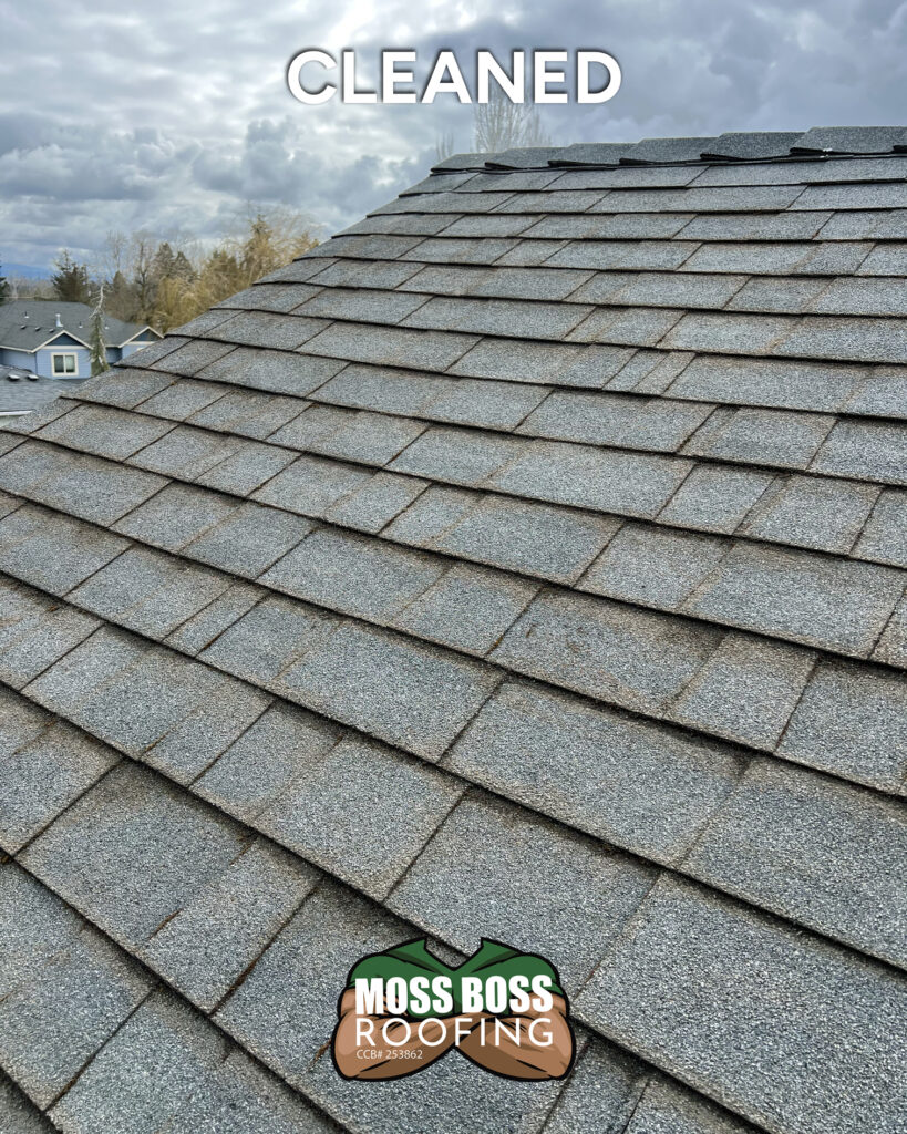 After roof cleaning in Salem, Oregon showing moss and debris removed from an asphalt shingle roof.