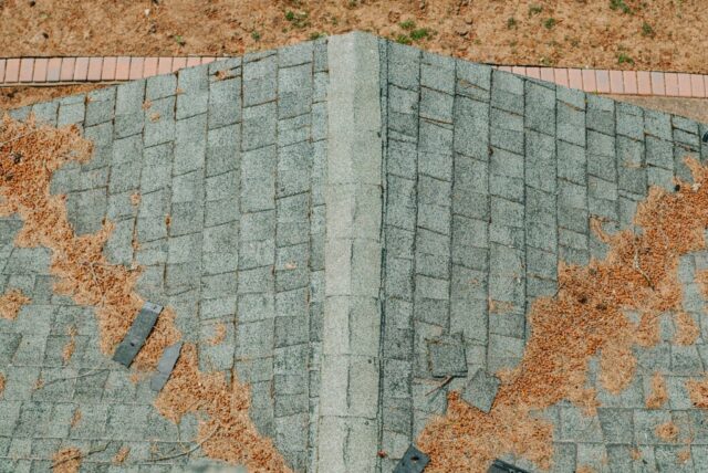 Roof Replacement in Salem, Oregon & the Willamette Valley Malarkey Vista AR Roof Replacement in West Salem Moss Boss Roofing Salem Oregon