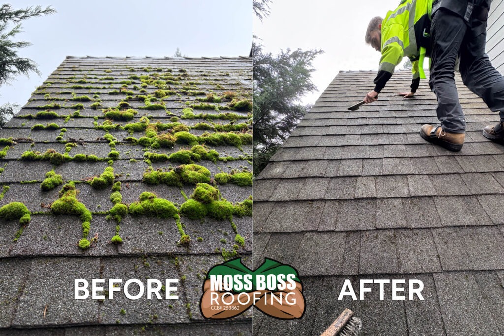 How Often Should You Clean Your Roof in Oregon? Moss Boss Roofing Salem Oregon