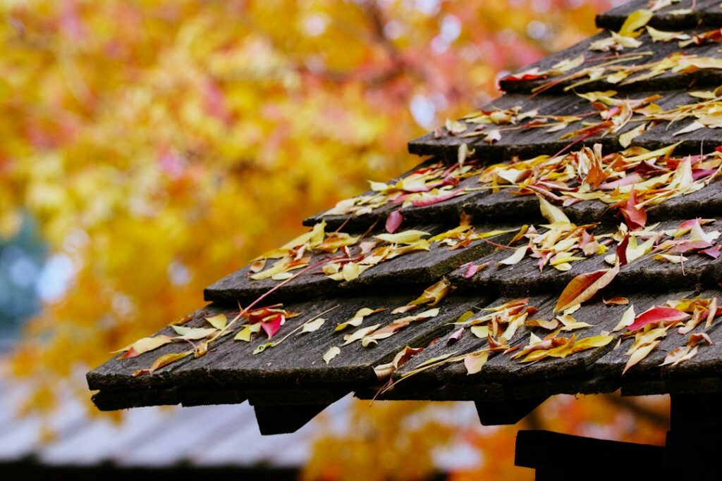 Leaves collected along the edge of a residential roof in autumn.