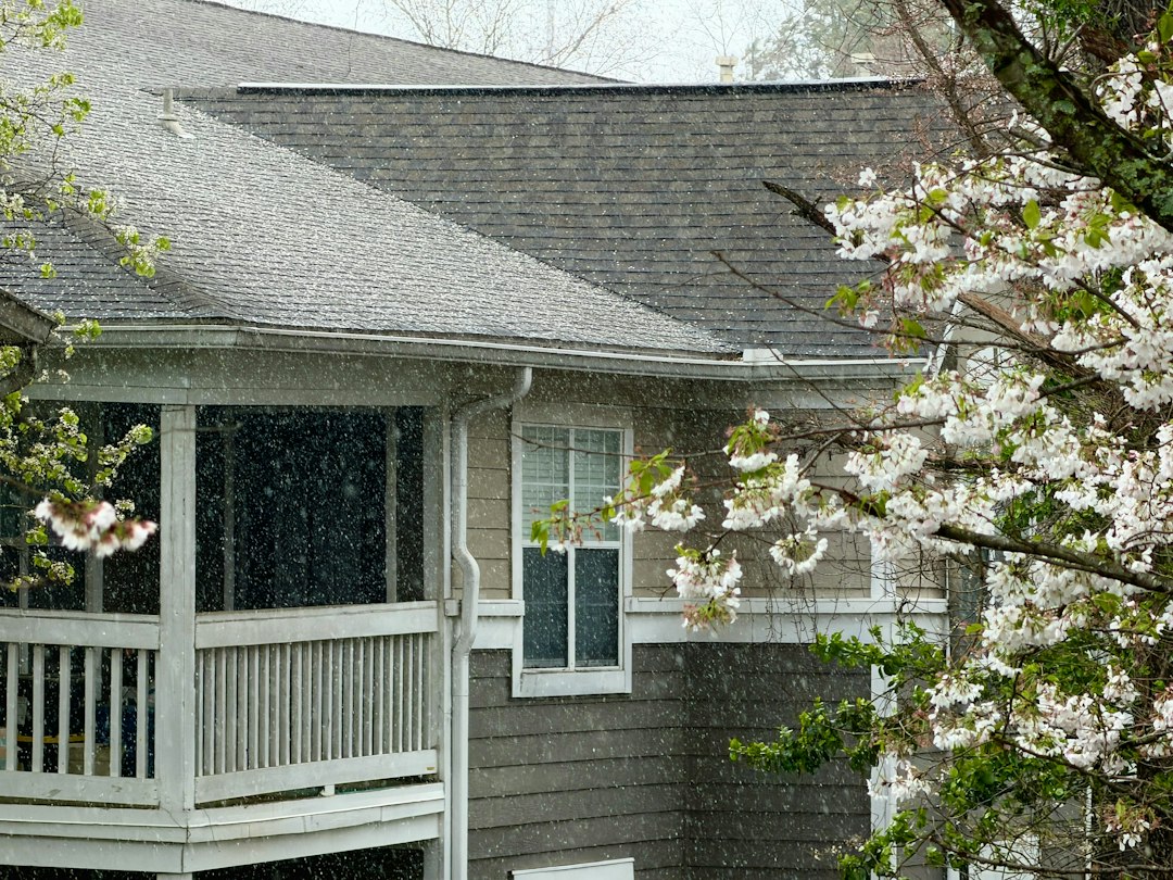 Rain falling from the roof edge of a house surrounded by trees.
